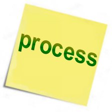 In what processes do we excel to succeed?